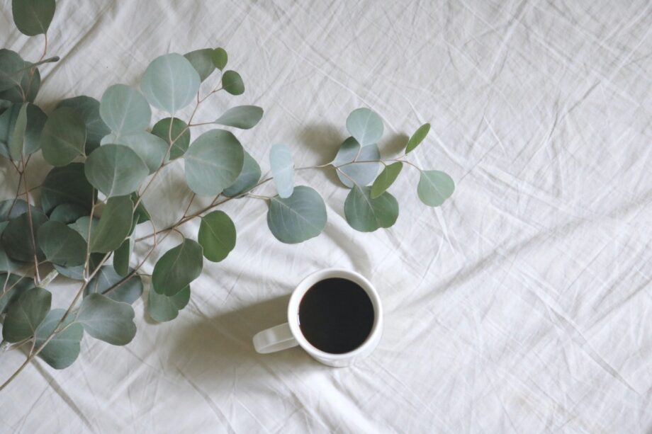 A cup of coffee and some leaves on the table